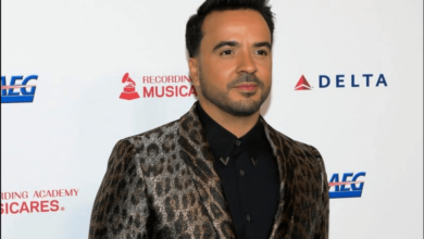 Luis Fonsi Net Worth