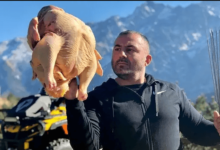 Georgy Kavkaz Net Worth
