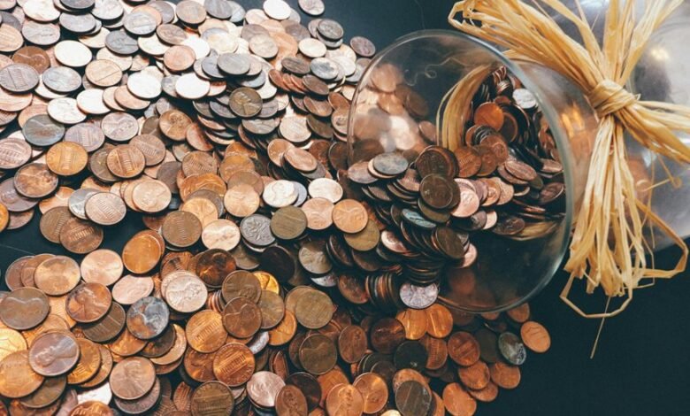 financial opportunities and resources