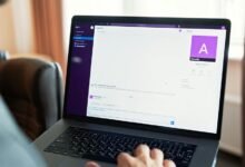 hqpotner overview and expectations