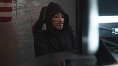 fraud alert network numbers