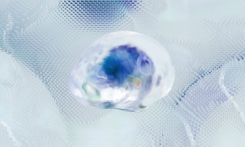 fraud hotline safety network