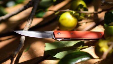 suspicious hotline caller numbers